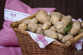 Körners Hofladen-Fotos - Obst und Gemüse